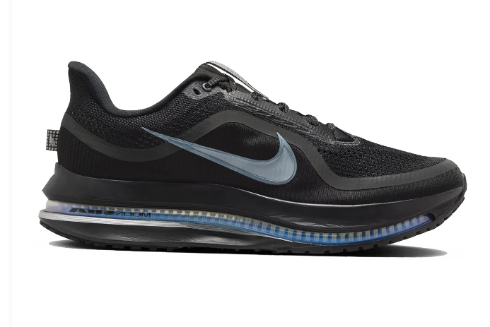 Nike Pegasus Premium Performance Sneakers